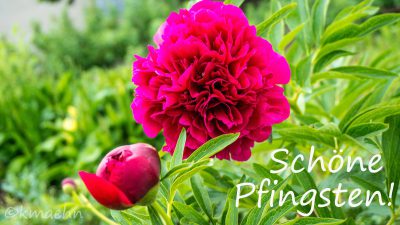 Pfingsten 2