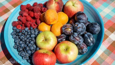 Obstteller